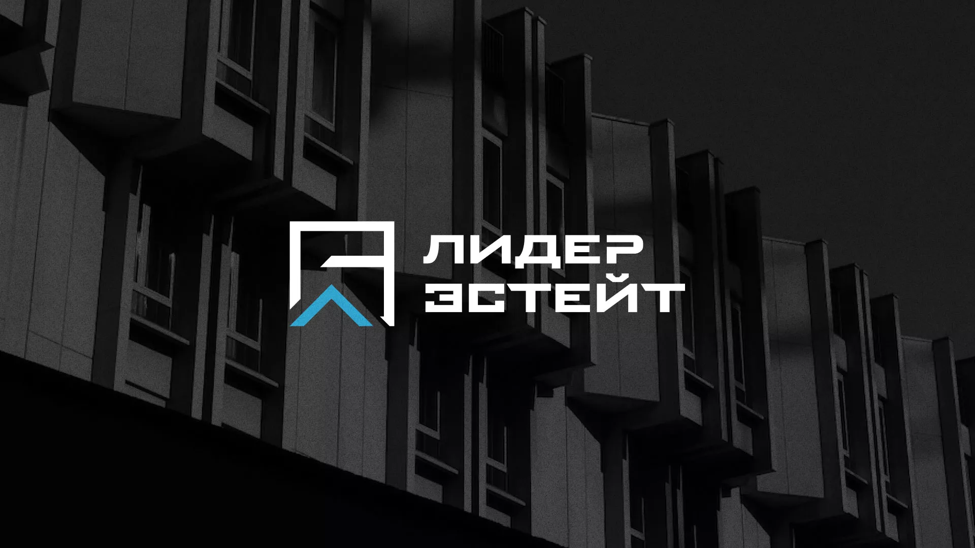 Разработка логотипа агентства недвижимости «Лидер Эстейт» в Энгельсе